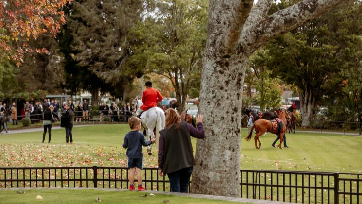 NZTR Racing Update - LOVERACING.NZ