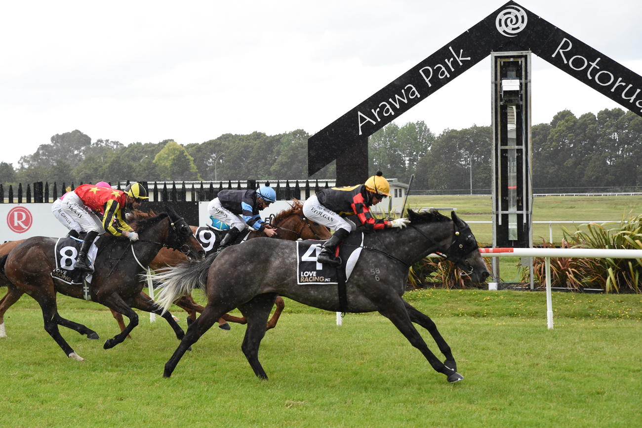 Invaluable winning at Rotorua on Tuesday.