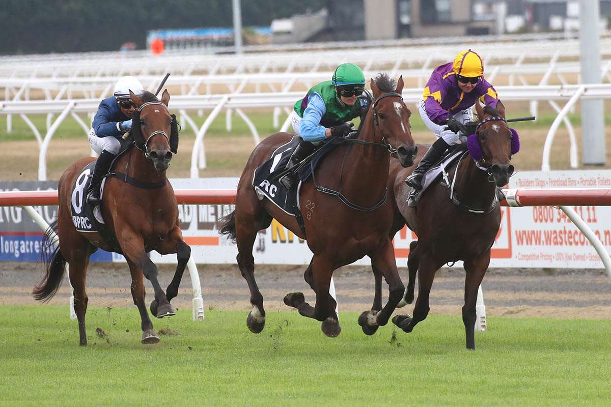 Track conditions could dictate programme for Robinson filly - LOVERACING.NZ
