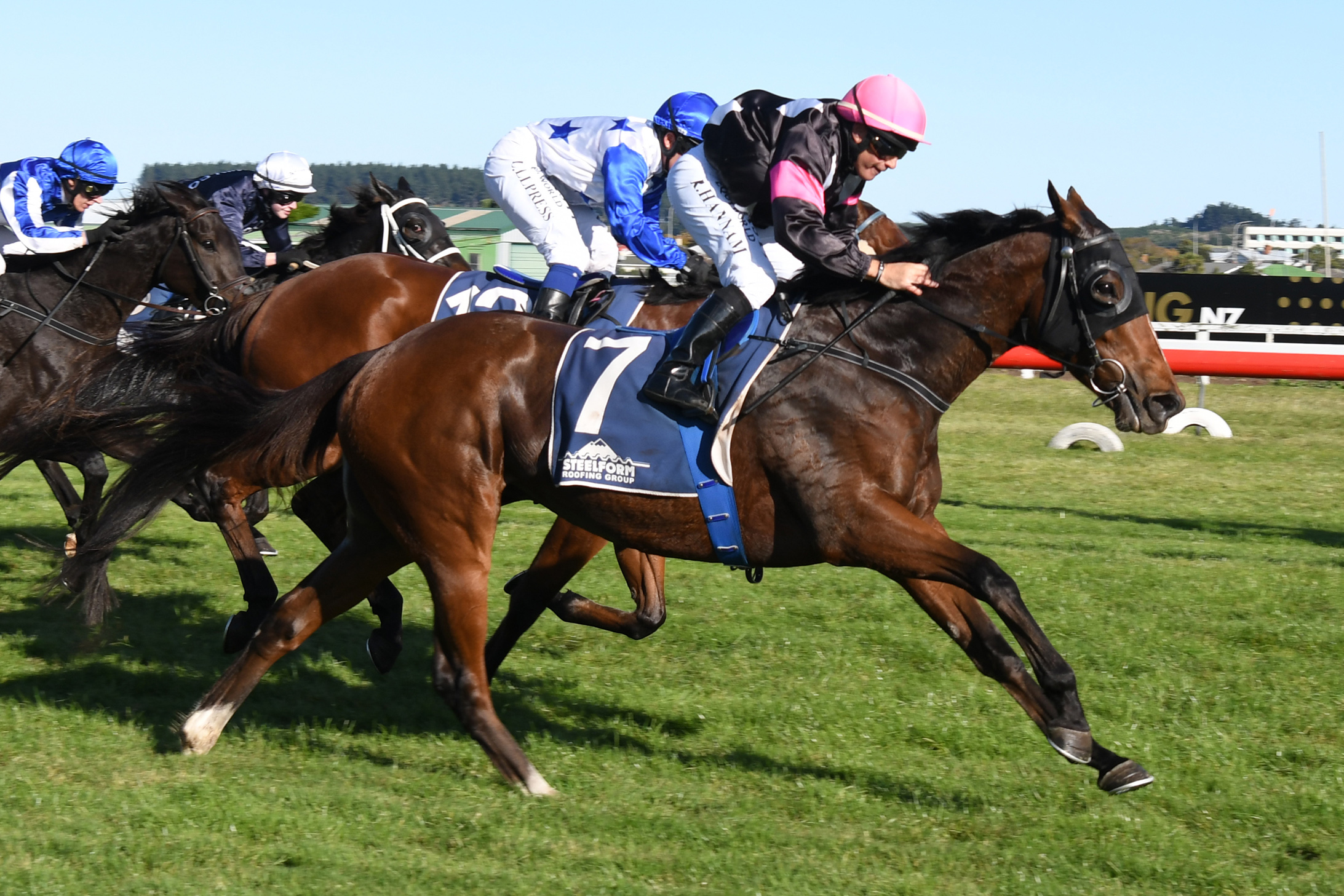 Potential last hurrah for Secret Amour - LOVERACING.NZ