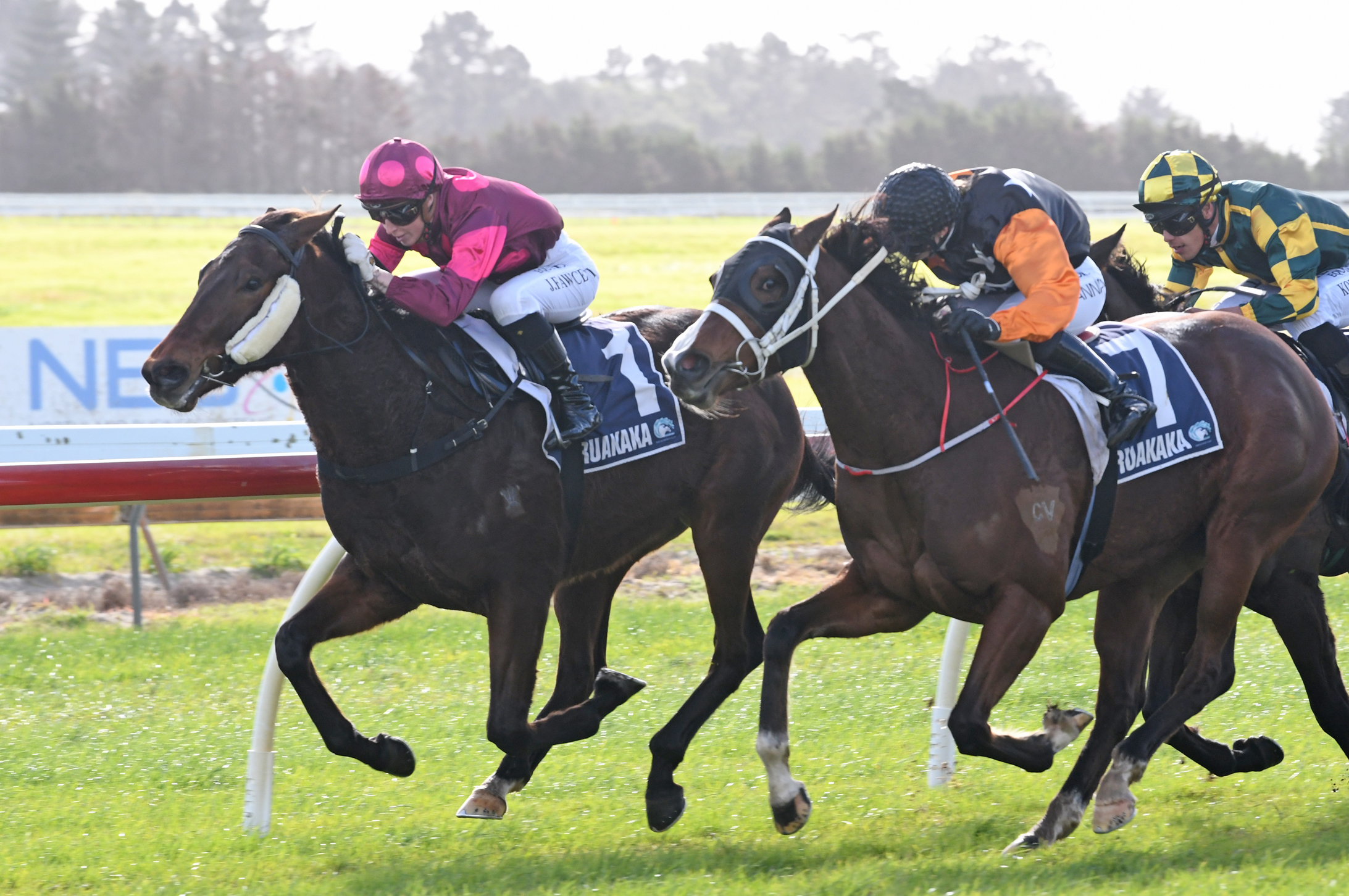 Rae dreaming of home spoils - LOVERACING.NZ