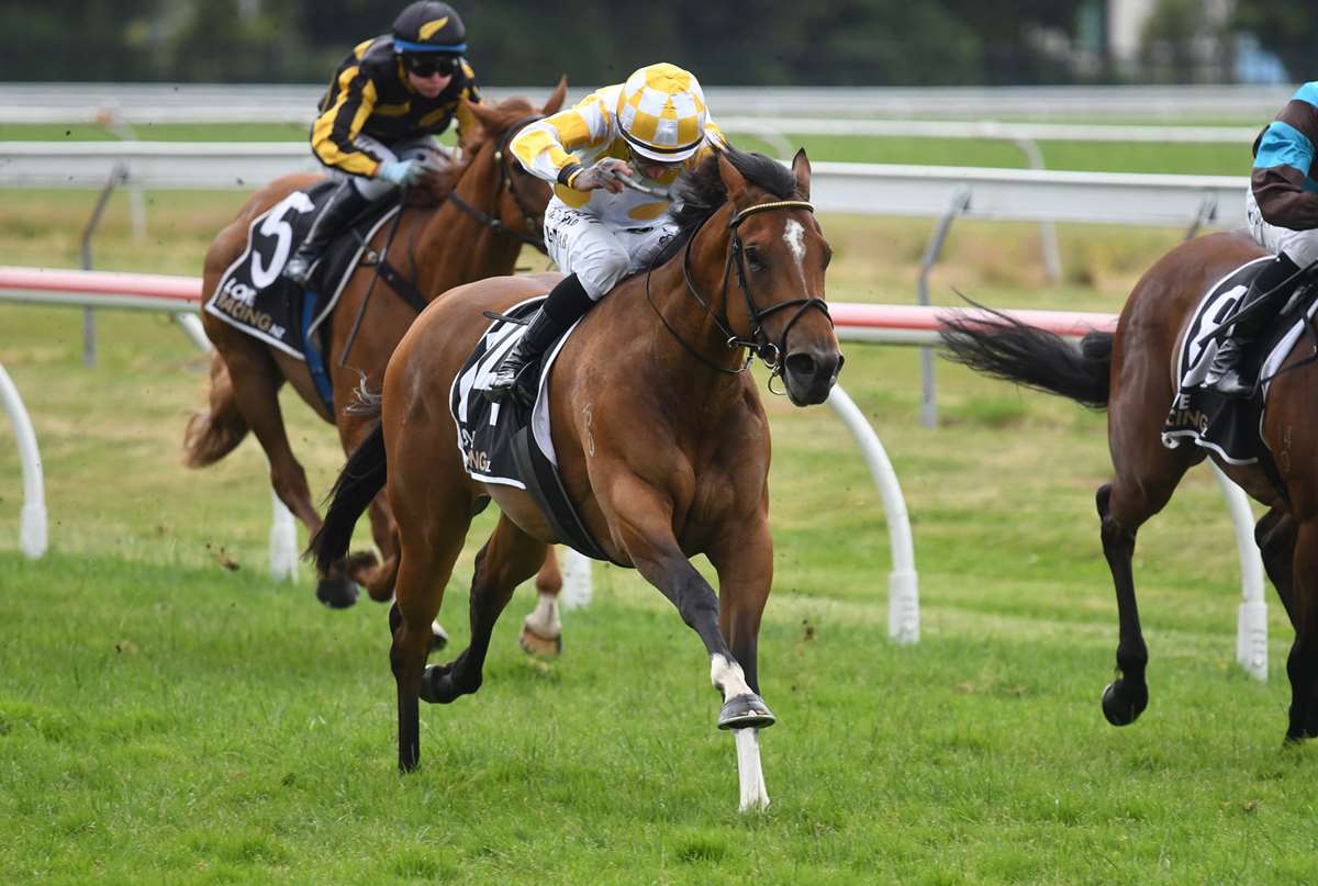 Rotorua treble brings holiday cheer to Cole Racing - LOVERACING.NZ