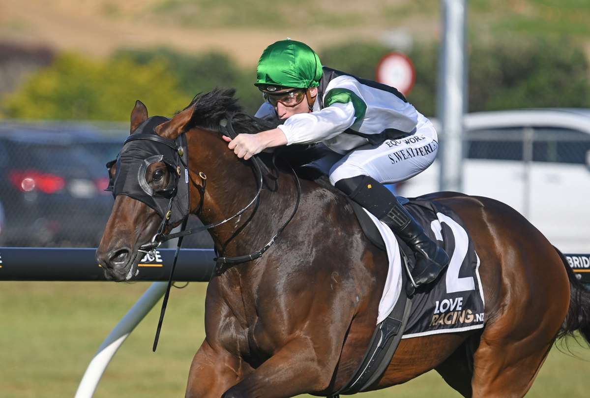 High expectations for genuine Rudyard - LOVERACING.NZ