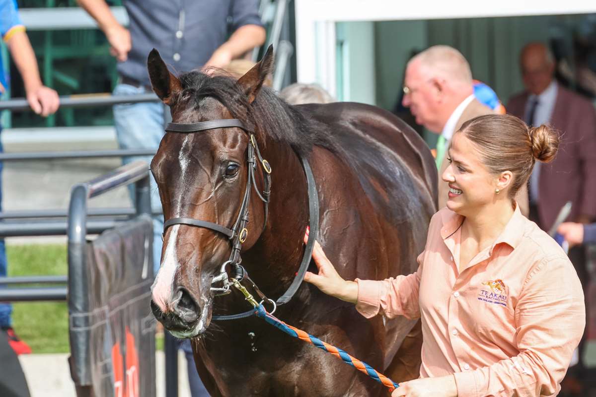 Te Akau Racing welcoming Riccarton challenge - LOVERACING.NZ