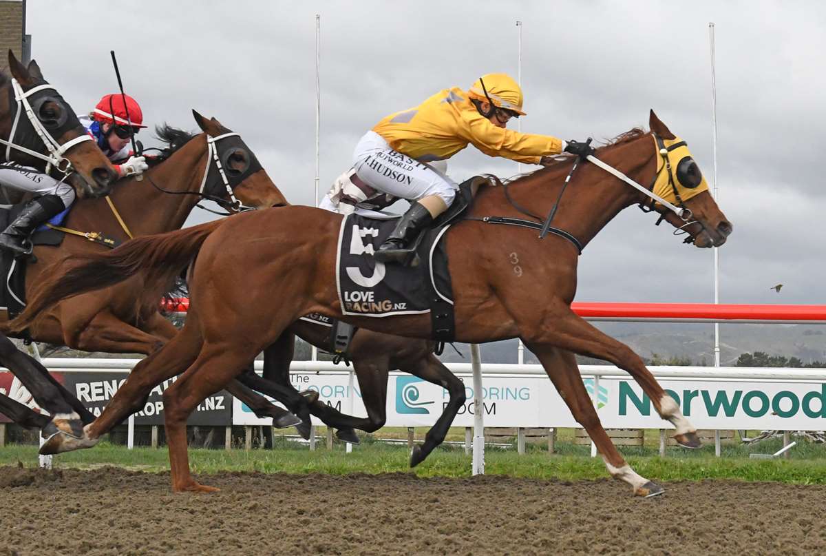 Gum Basher set to return to favoured surface - LOVERACING.NZ
