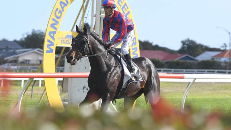 Haworth enjoying more relaxed racing approach - LOVERACING.NZ