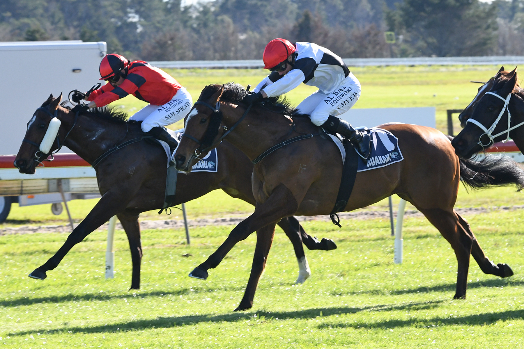 Dupont delivers on debut - LOVERACING.NZ