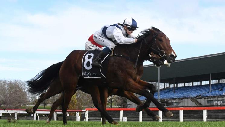 First winner for Thunder Down Under - LOVERACING.NZ