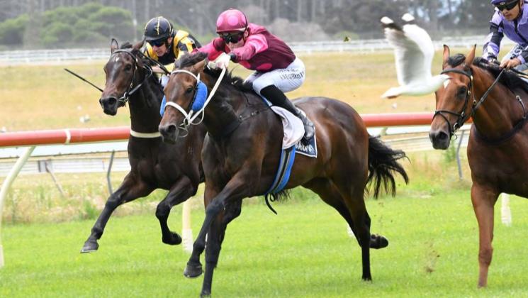 Rae looking for strong start at Ruakaka - LOVERACING.NZ