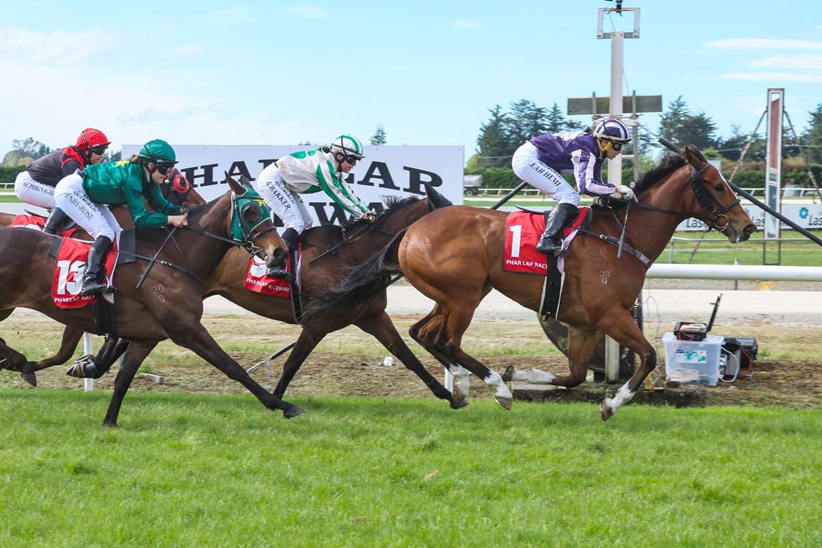 Timaru raceday