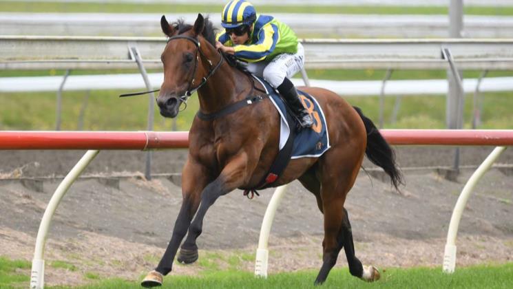 Yaldi back on home soil ahead of 3YO features - LOVERACING.NZ