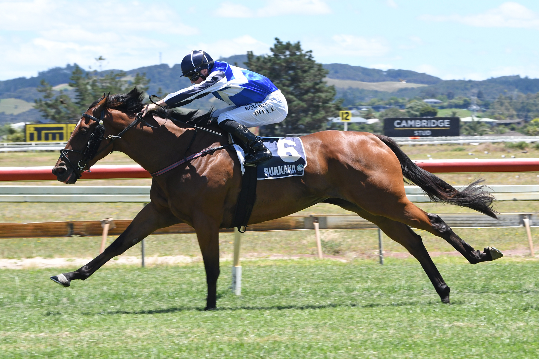 Electron a welcome pick me up for Mynott - LOVERACING.NZ