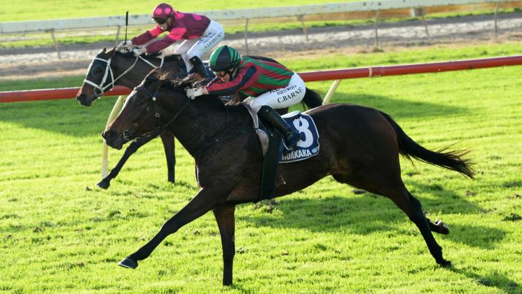 Foote gets welcome return from Nancy She Wrote - LOVERACING.NZ