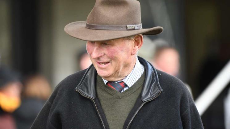 Nelson paving his own way into racing history - LOVERACING.NZ