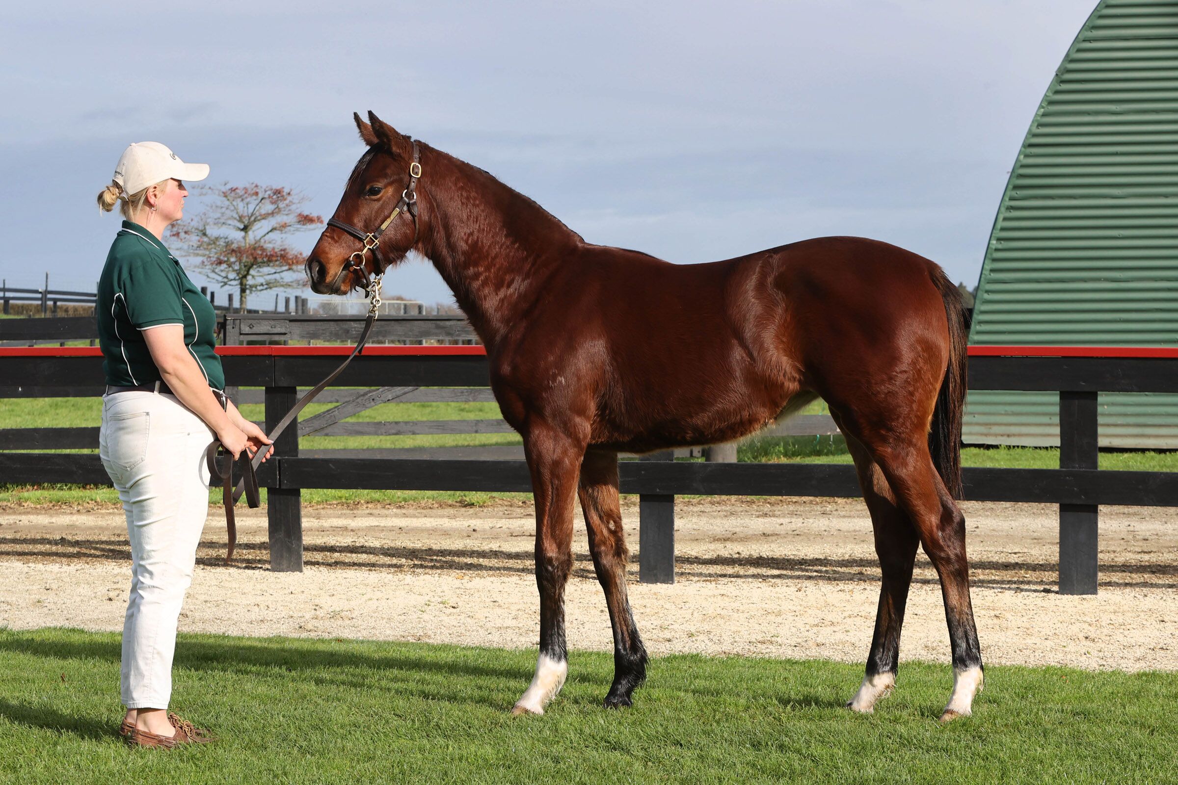 Lot49-supplied