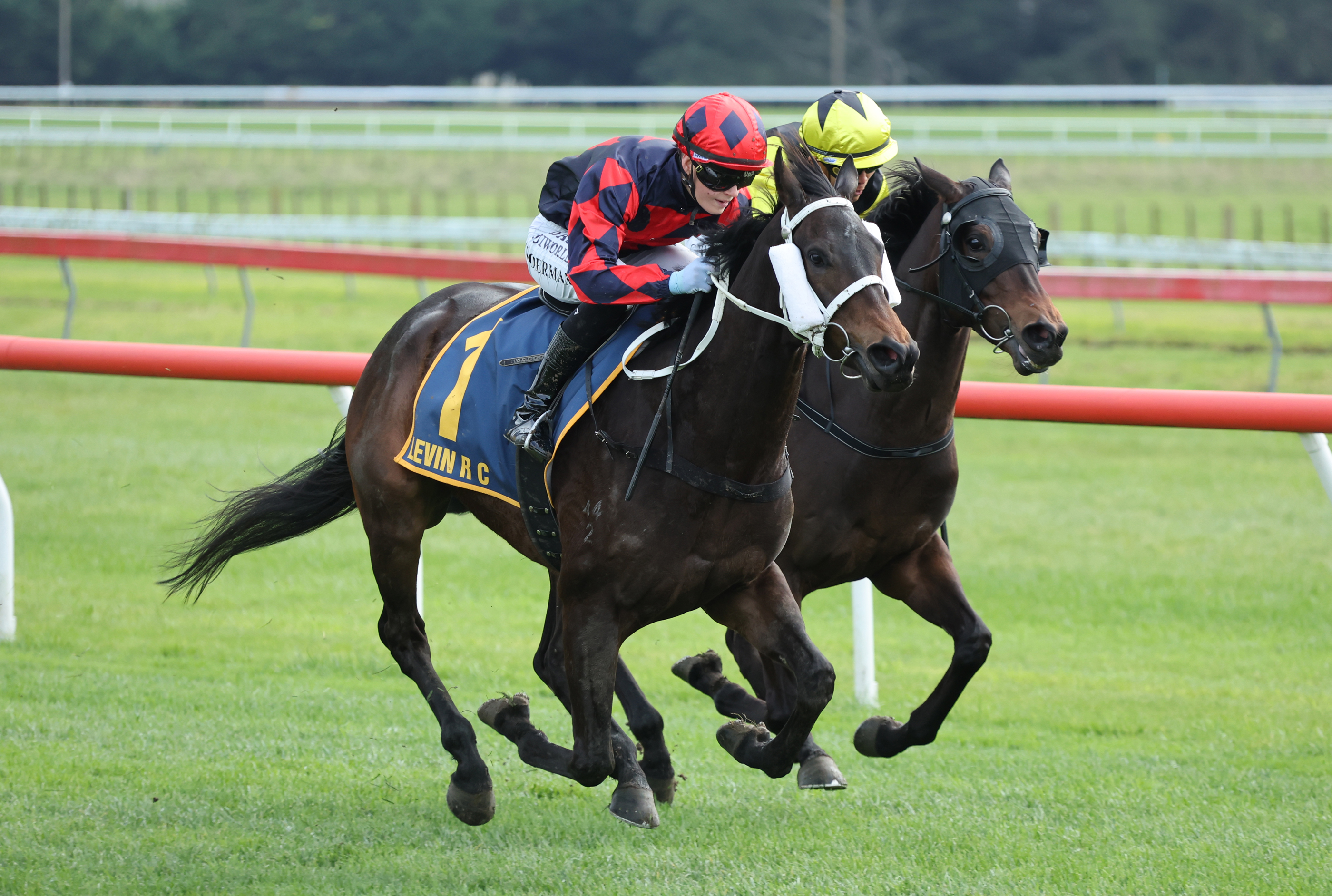 Skattebo recorded his fourth win from his last five starts when victorious at Otaki on Thursday. Photo: Peter Rubery (Race Images)