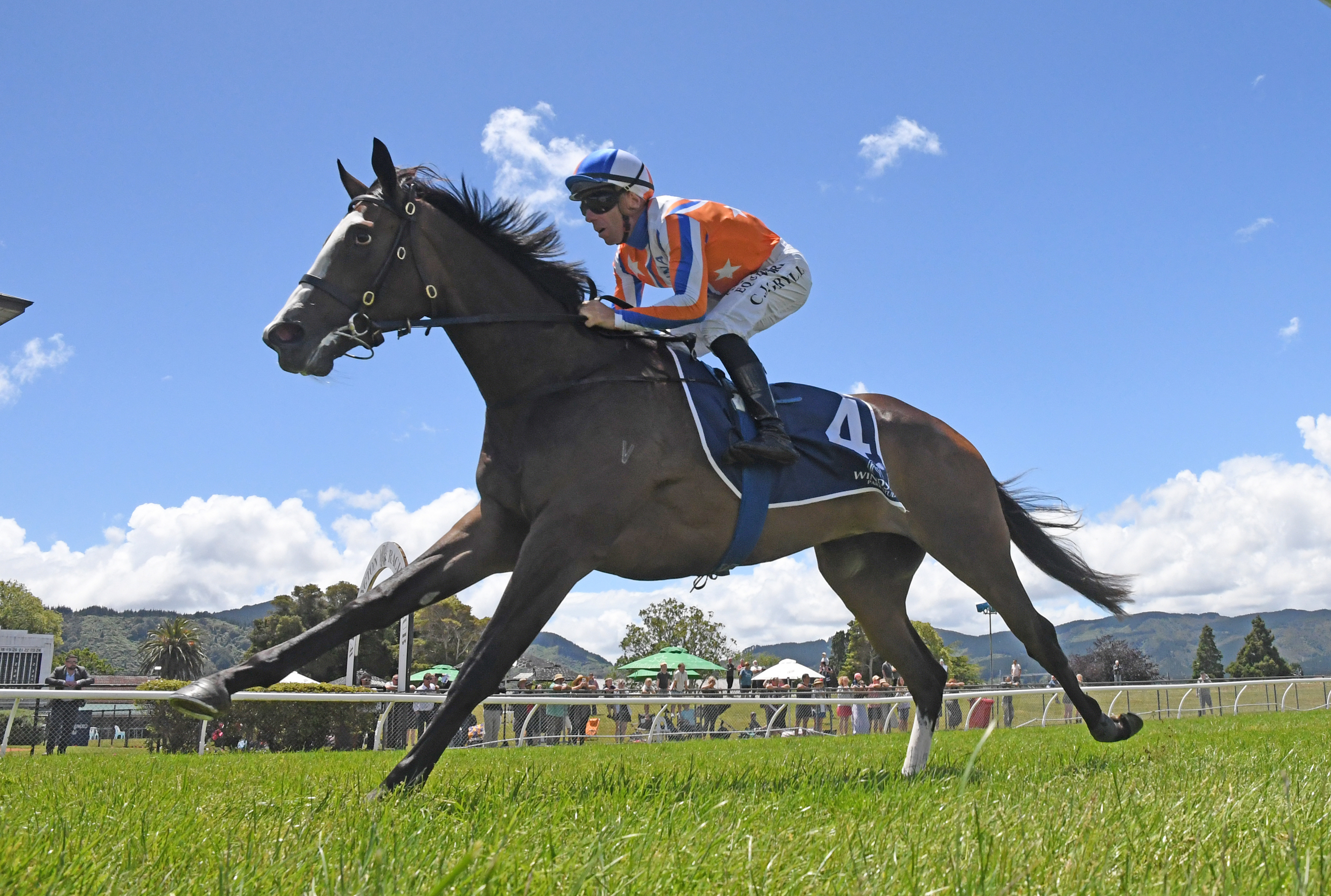 Lara Antipova will contest the Listed Michael Moroney (1400m) at Flemington on Saturday. Photo: Peter Rubery (Race Images)