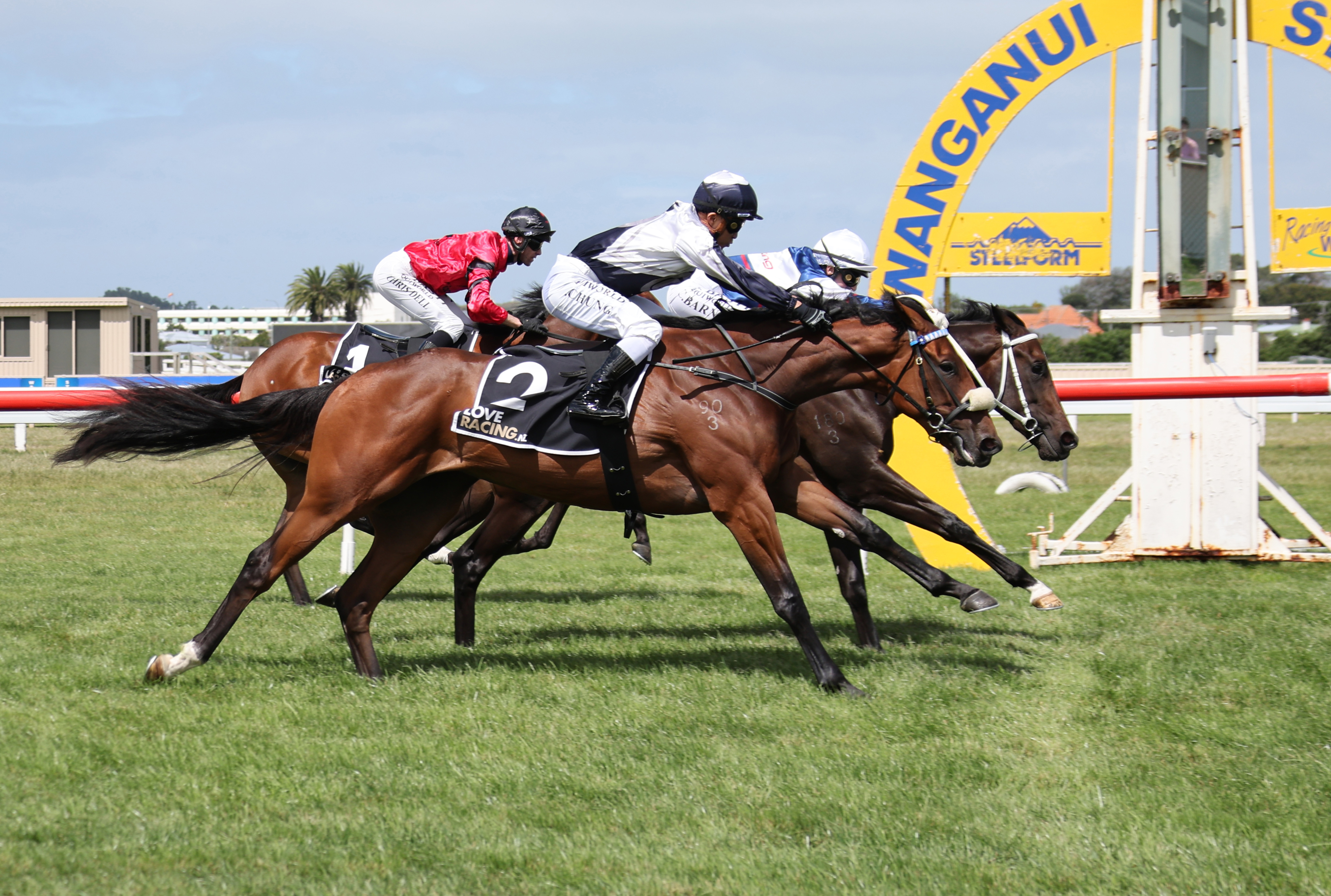 Sweetest Thing (outside) will contest the Listed NZB Canterbury Belle Stakes (1200m) at Riccarton on Saturday. Photo: Jane Davidson (Race Images)