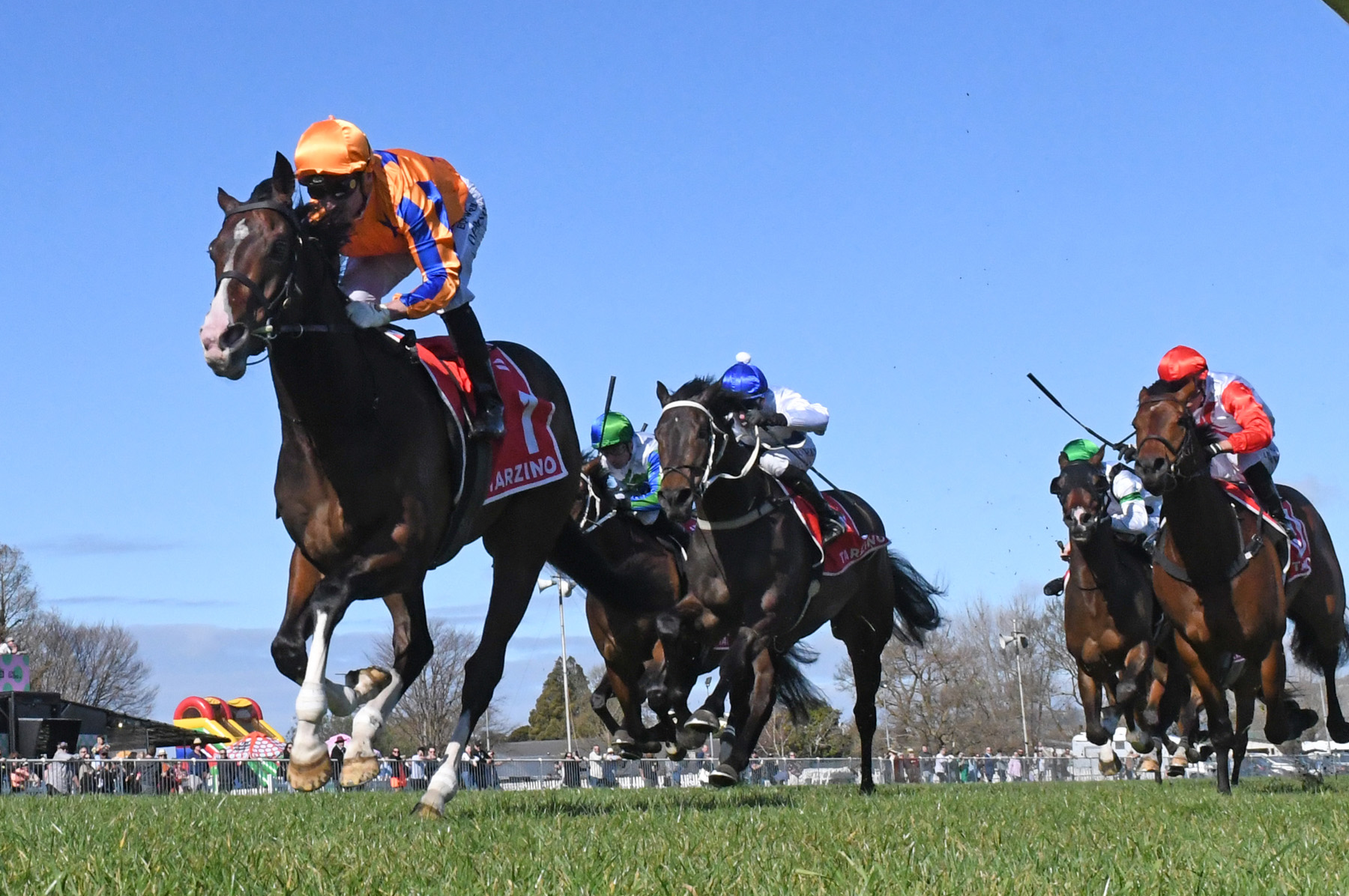TOKYO-TYCOON-PETER-RUBERY-RACE-IMAGES