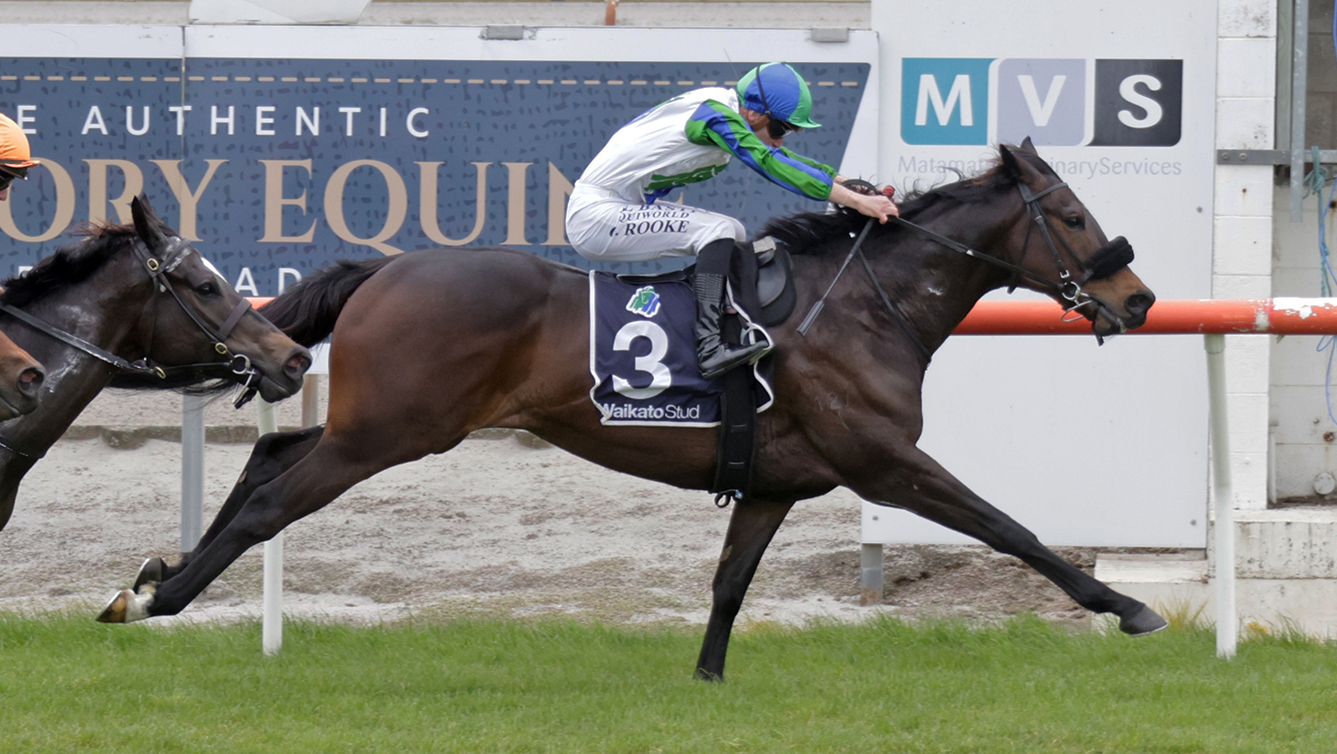 Racehorse